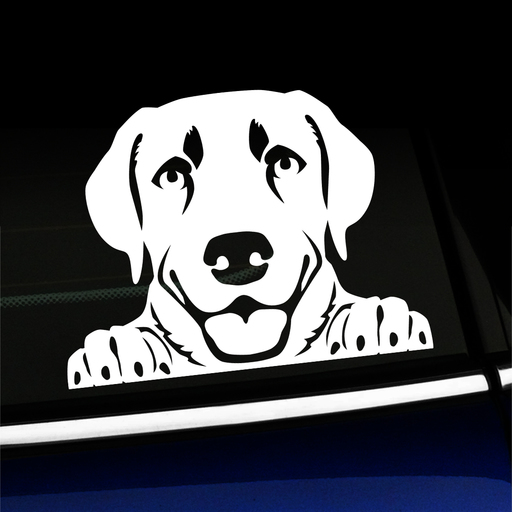 Peeking Lab Labrador Retriever Vinyl Decal